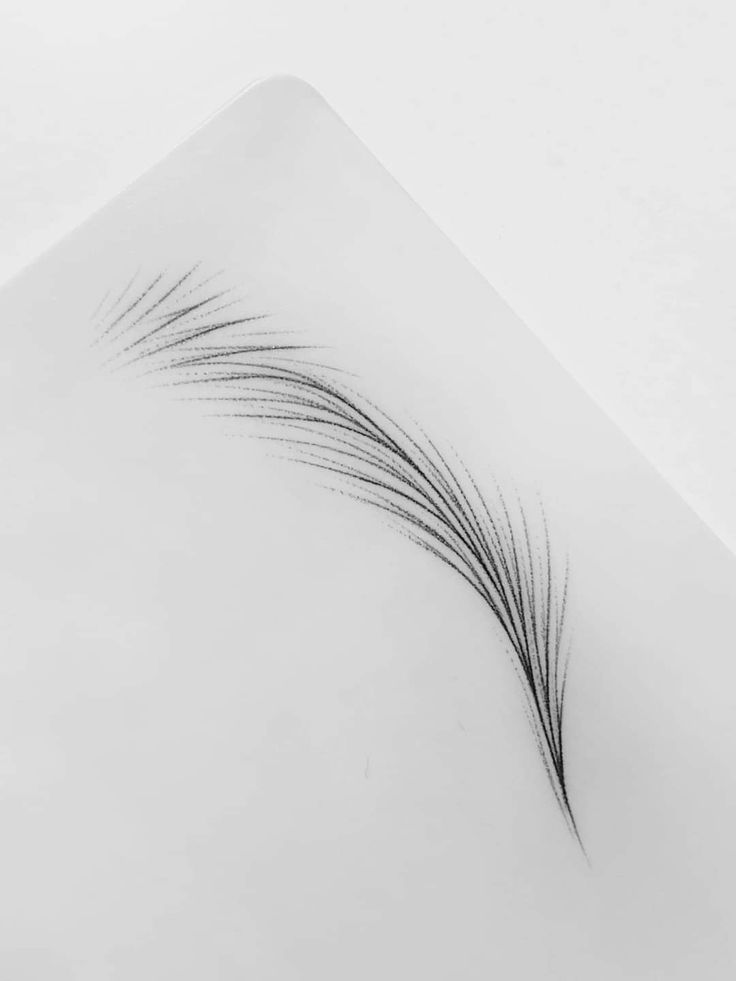 Nano Brows